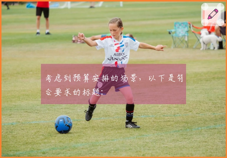考虑到预算安排的场景,以下是符合要求的标题: