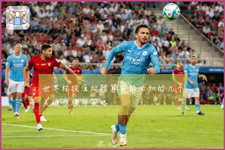 世界杯投注站预算安排必知的几个关键步骤与策略