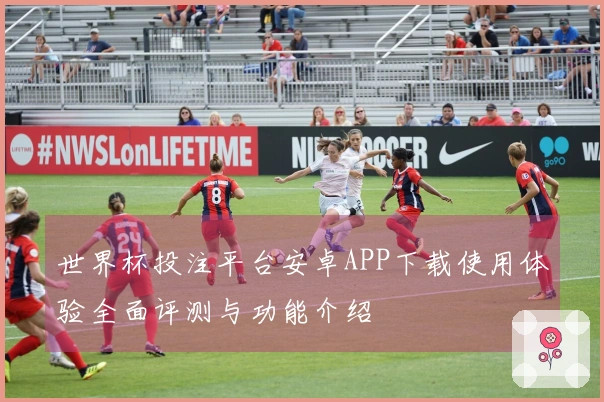 世界杯投注平台安卓APP下载使用体验全面评测与功能介绍