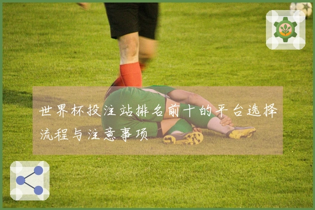 世界杯投注站排名前十的平台选择流程与注意事项