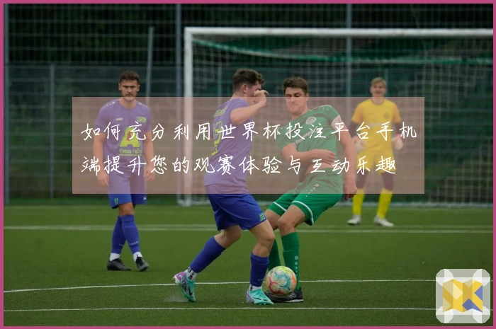 如何充分利用世界杯投注平台手机端提升您的观赛体验与互动乐趣