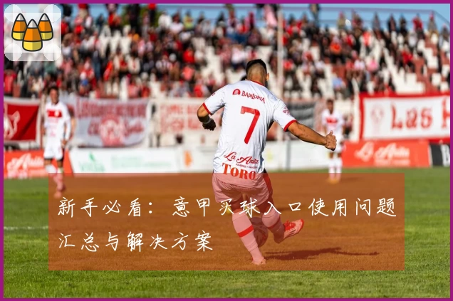 新手必看：意甲买球入口使用问题汇总与解决方案