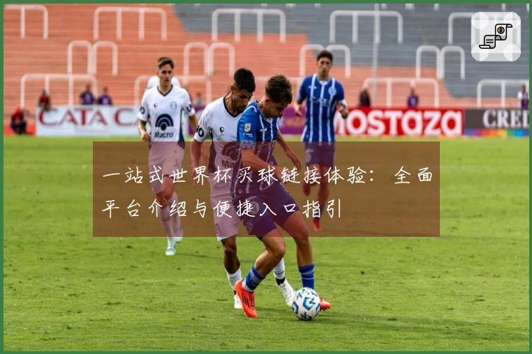 一站式世界杯买球链接体验：全面平台介绍与便捷入口指引