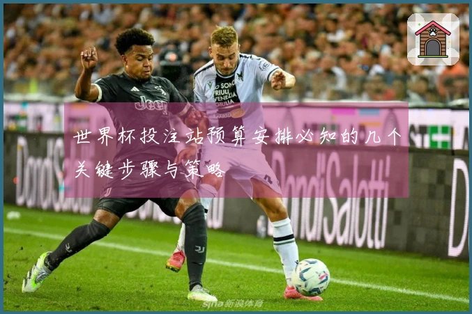 世界杯投注站预算安排必知的几个关键步骤与策略