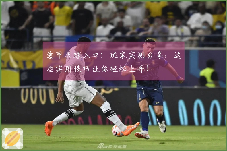 意甲买球入口：玩家实测分享，这些实用技巧让你轻松上手！