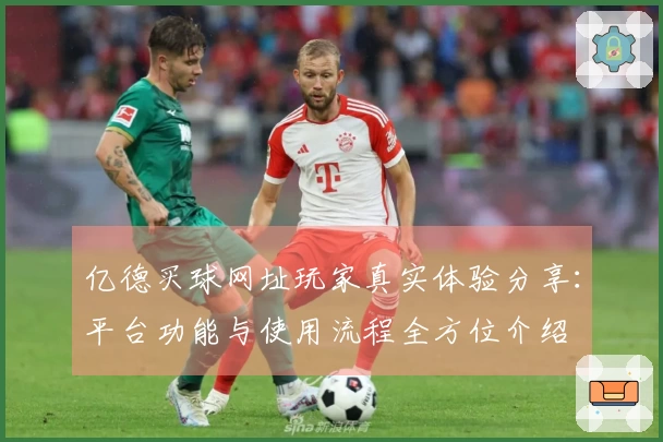 亿德买球网址玩家真实体验分享：平台功能与使用流程全方位介绍