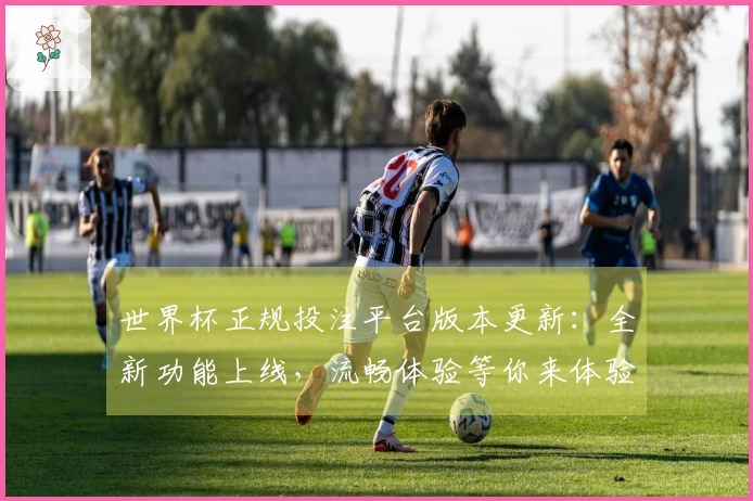 世界杯正规投注平台版本更新：全新功能上线，流畅体验等你来体验