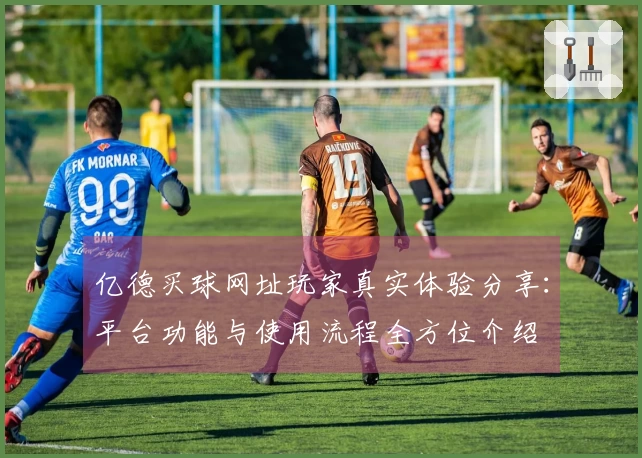 亿德买球网址玩家真实体验分享：平台功能与使用流程全方位介绍