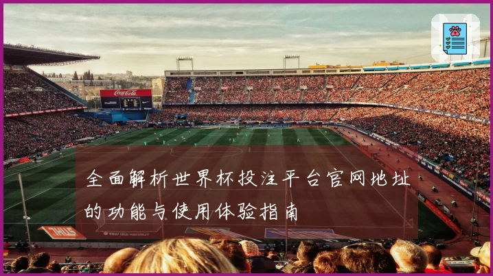 全面解析世界杯投注平台官网地址的功能与使用体验指南